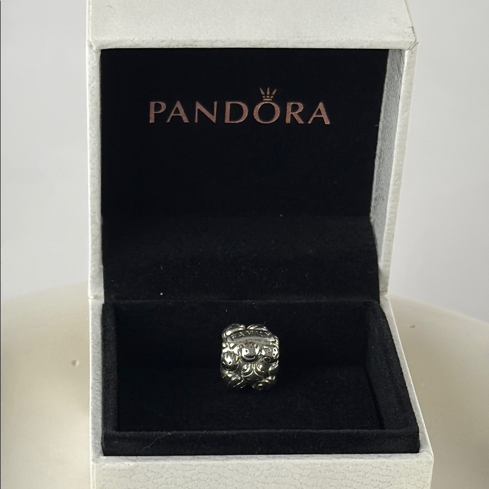 Pandora Silver Charm Family Charm with faces